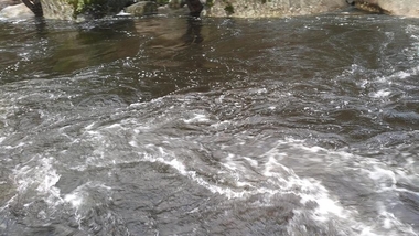Nueva riada de aguas negras en el río Jerte
