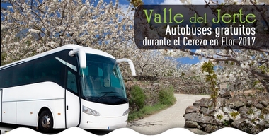 Cuatro rutas gratuitas en bus vertebrarán el Valle del Jerte durante el Cerezo en Flor