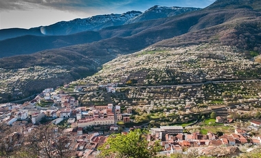 Los actos centrales de la 'Primavera y Cerezo en Flor' en el Valle del Jerte comienzan este viernes