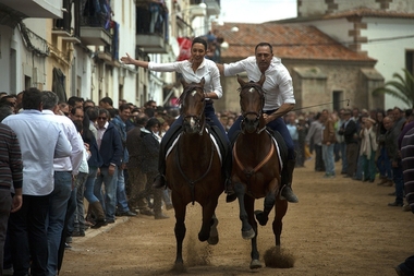 Unas 12.000 personas asistirán en Arroyo de la Luz (Cáceres) a las carreras de caballos en La Corredera