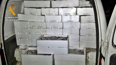 Intervenidos en Almendralejo 500 kilos de pescado en una furgoneta sin 