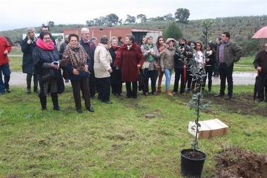 Extremadura declara Bien de Interés Cultural la Fiesta del árbol de Villanueva de la Sierra (Cáceres)