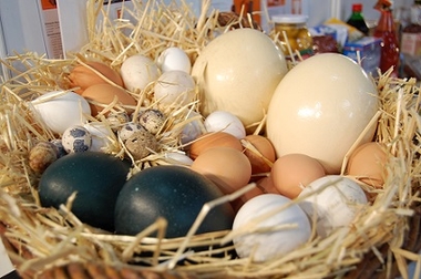 Huevos a Pares, para celebrar el Día del Padre 2018