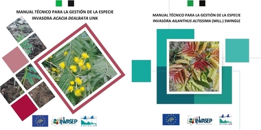 CICYTEX publica dos manuales para evitar la propagación de las especies invasoras mimosa y ailanto