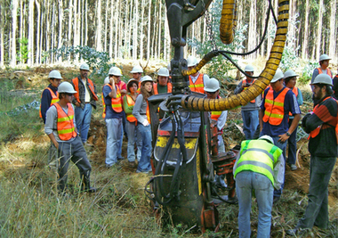 GPEX oferta tres plazas de empleo para Analista, Personal Técnico de Gestión e Ingeniero Forestal