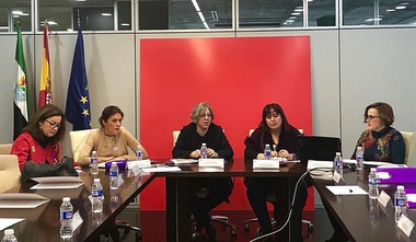 La Junta de Extremadura presenta al Consejo Extremeño de Participación de las Mujeres el futuro desarrollo normativo de la LOTUS que incluirá la persp