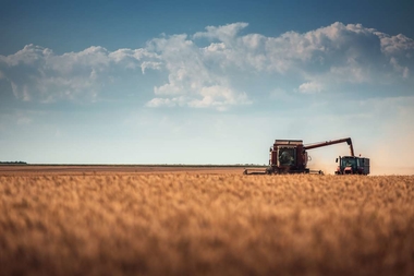 El DOE publica la convocatoria de ayudas de incentivos agroindustriales en Extremadura para el ejercicio 2019