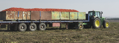 La Delegación del Gobierno mantendrá la intensidad en el control de los transportes de tomate durante la campaña de 2019