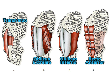 CORE ¿Qué es? , ¿Cómo fortalecerlo?